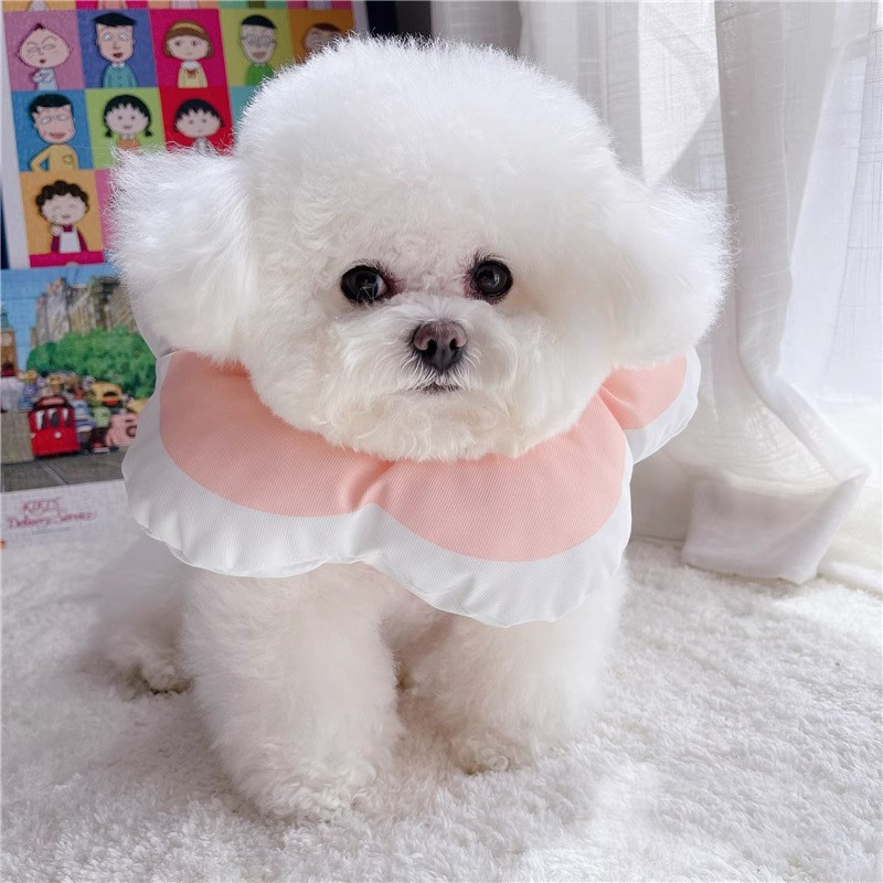 https://fulmo-img-server.com/poppuppy/8a924e72-fd4e-40b4-a1da-fb619fd580f0.jpg
