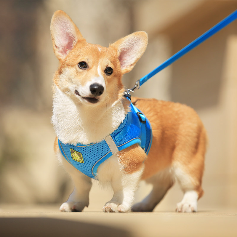 ペット用首輪 犬用通気メッシュ胴輪反射テープ付きハーネス
