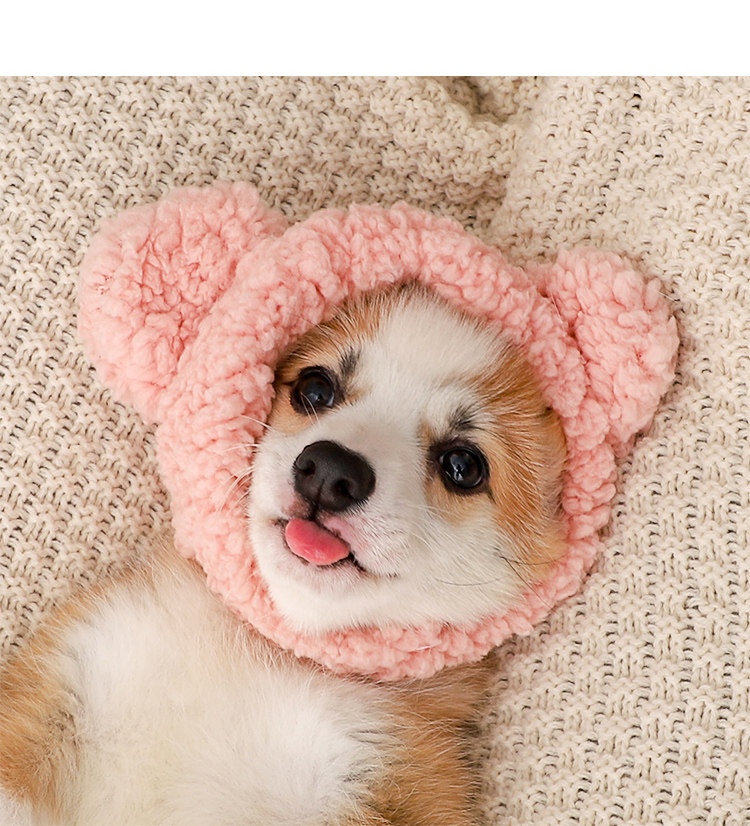https://fulmo-img-server.com/poppuppy/8c0e84d8-2c91-4cd5-a6c3-080eb64a2e19.jpg