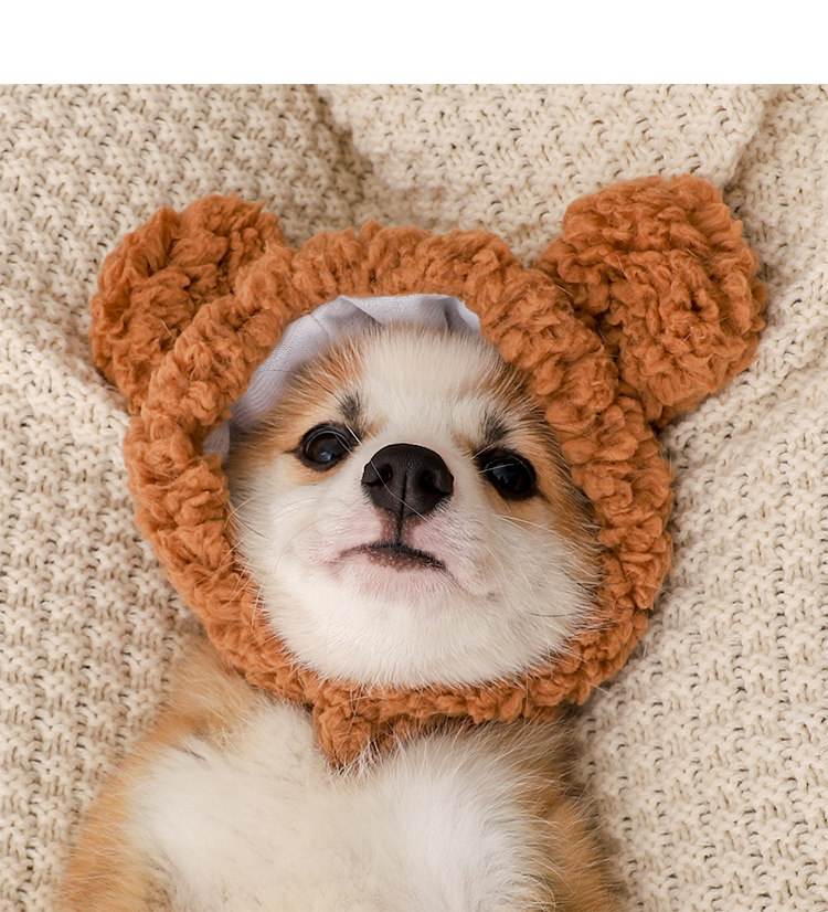 https://fulmo-img-server.com/poppuppy/92308470-e45a-488f-ae46-87a98be9cf2c.jpg