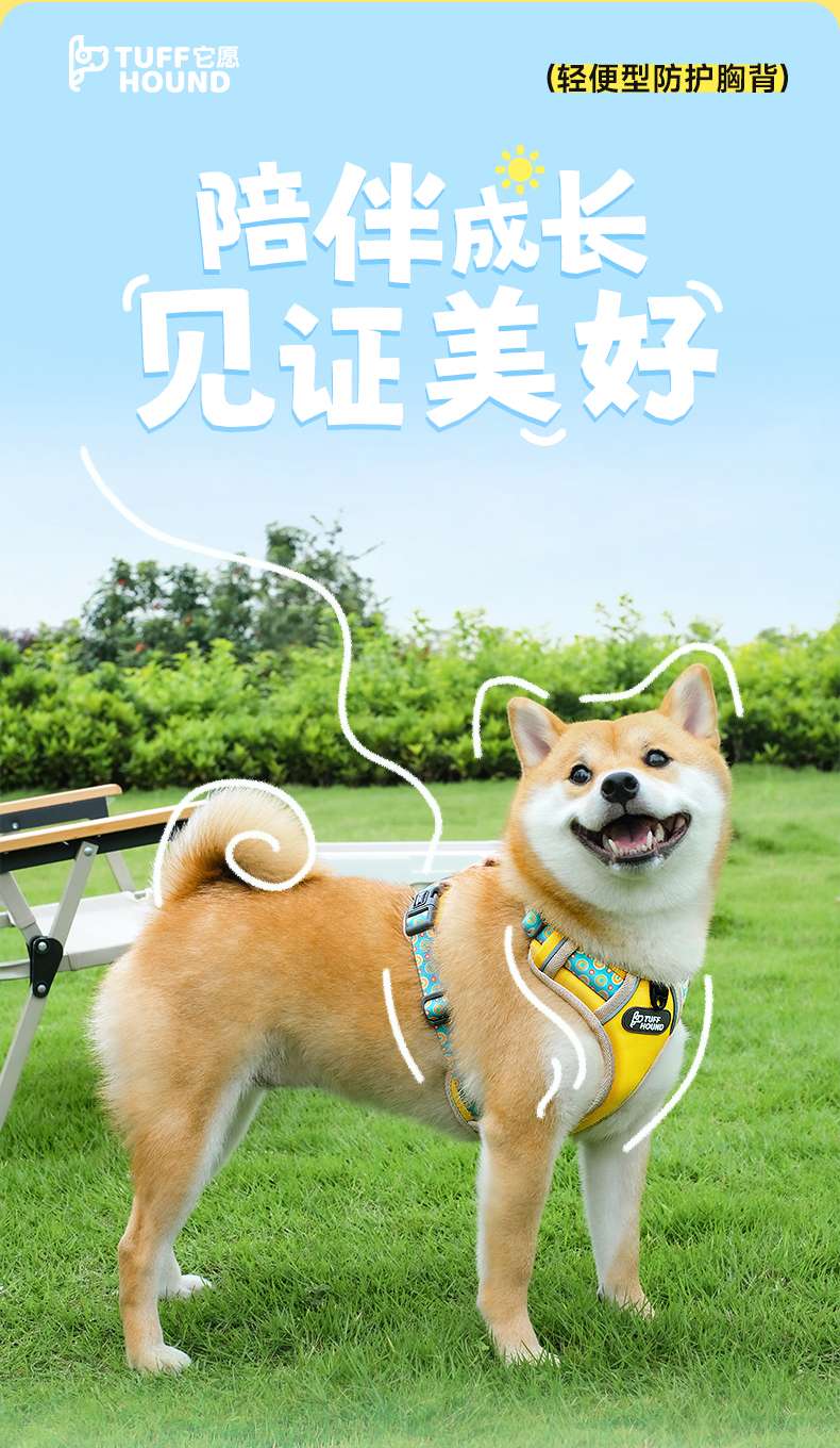 ハーネス