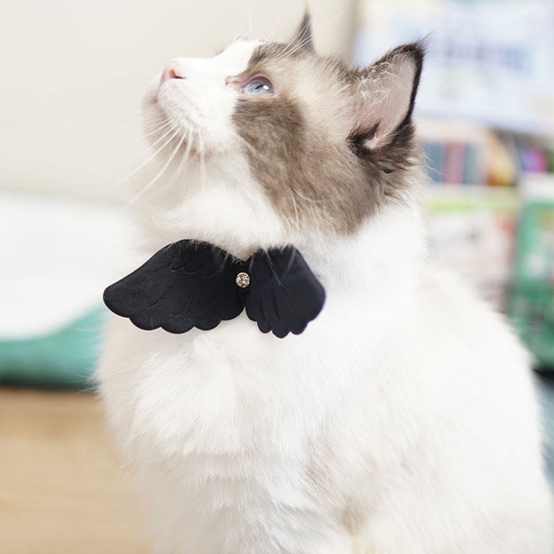 ペット用首輪 天使の翼 ねこ首輪
