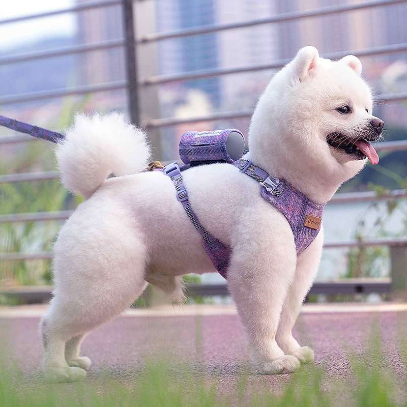 ハーネスセットアップ