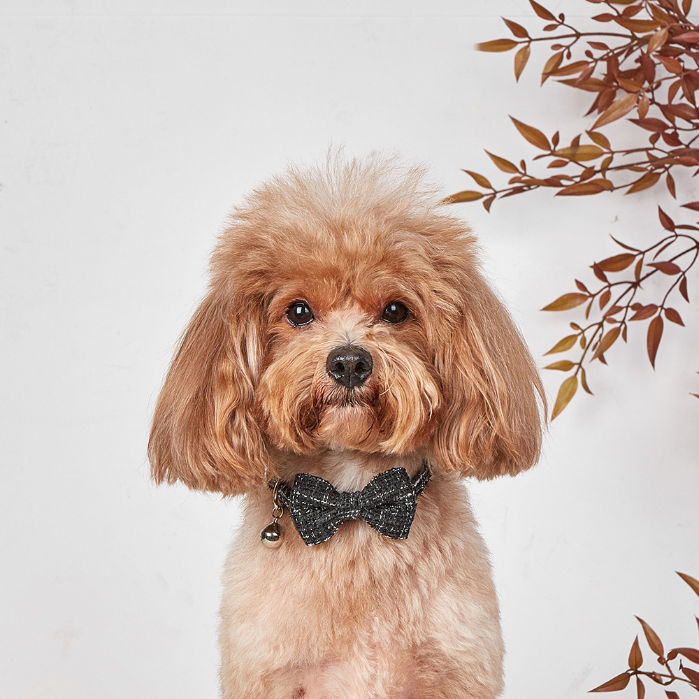 ペット用首輪 ツイード生地の蝶ネクタイ付き鈴付き首輪