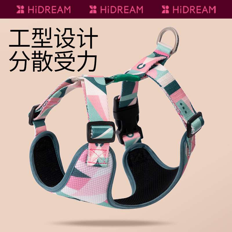 セットアップ