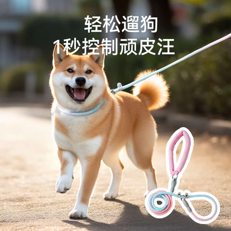 リード