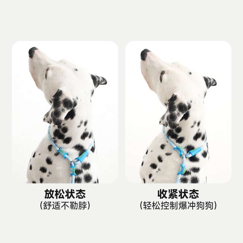 リード