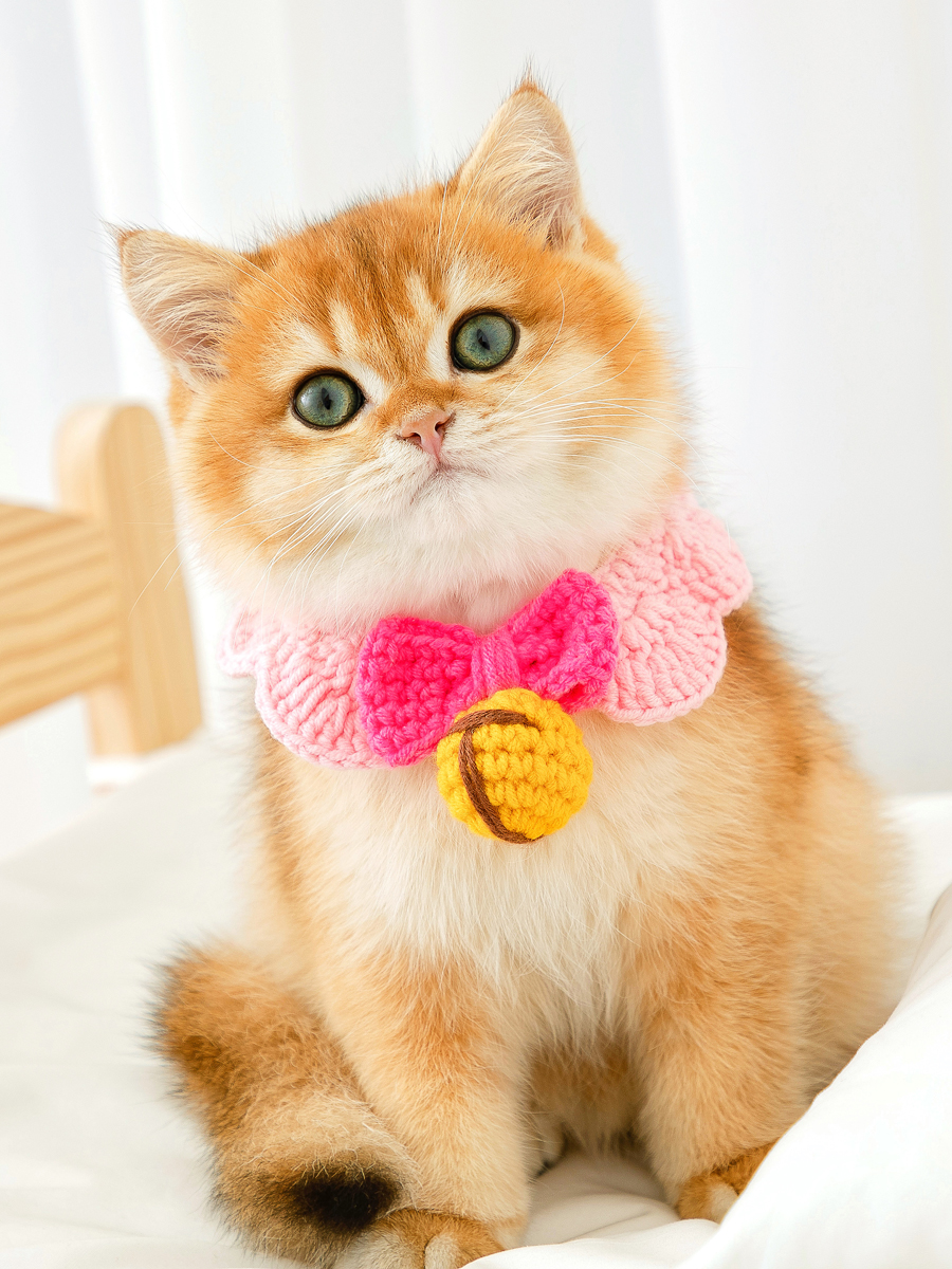 ペット用首輪 ねこちゃんのおめかし首輪
