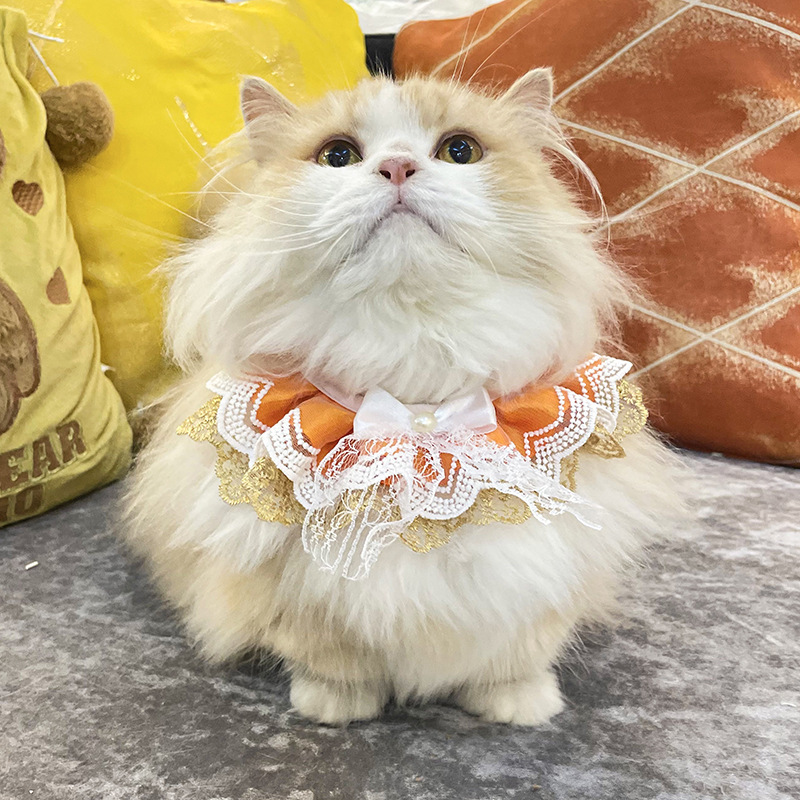 ペット用首輪 華やかレース花飾りリボン付き猫用首輪