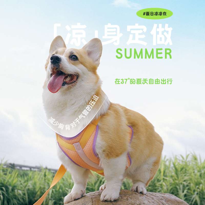 ハーネス
