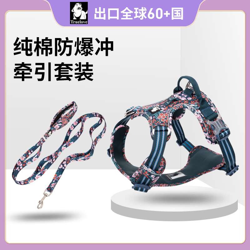 ハーネスセットアップ