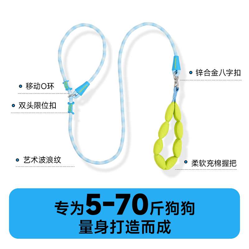 リード