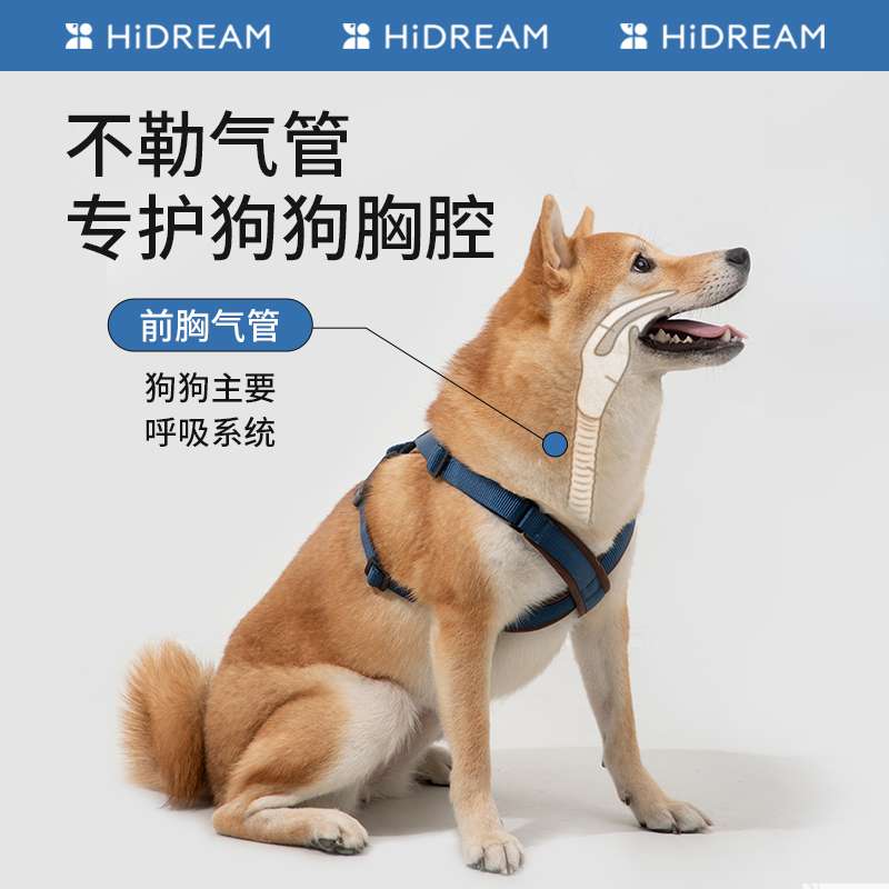 セットアップ