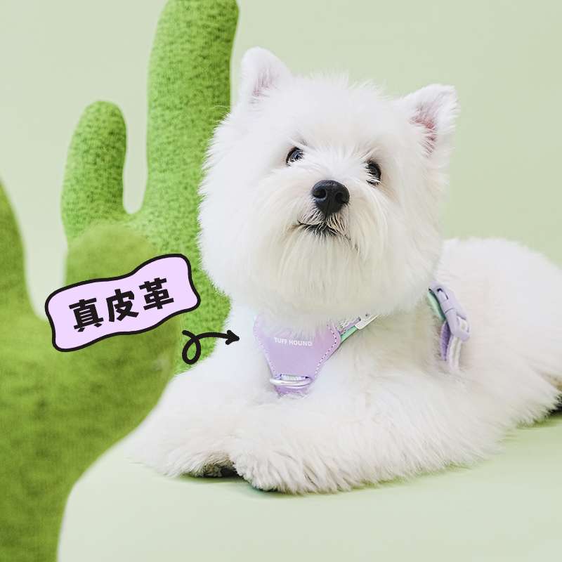 ハーネス