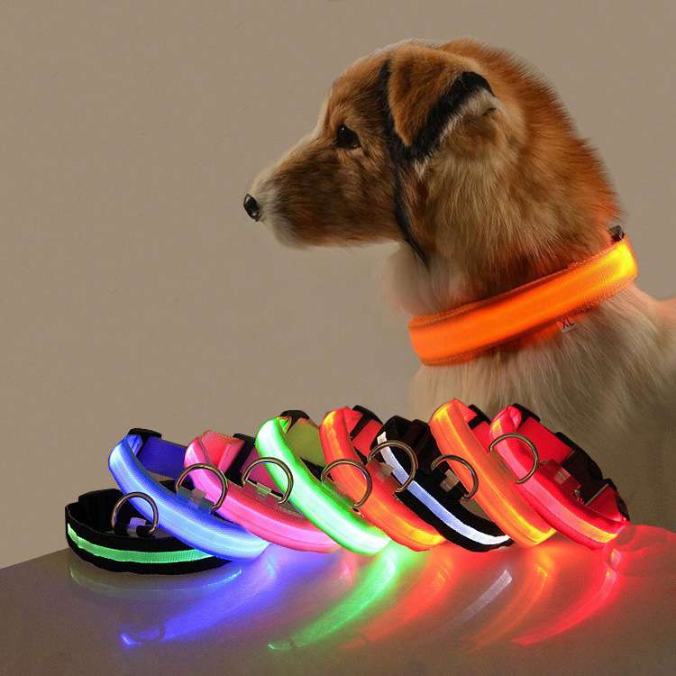 愛犬を守る光る首輪おすすめ9選！夜のお散歩でも首元が安全に