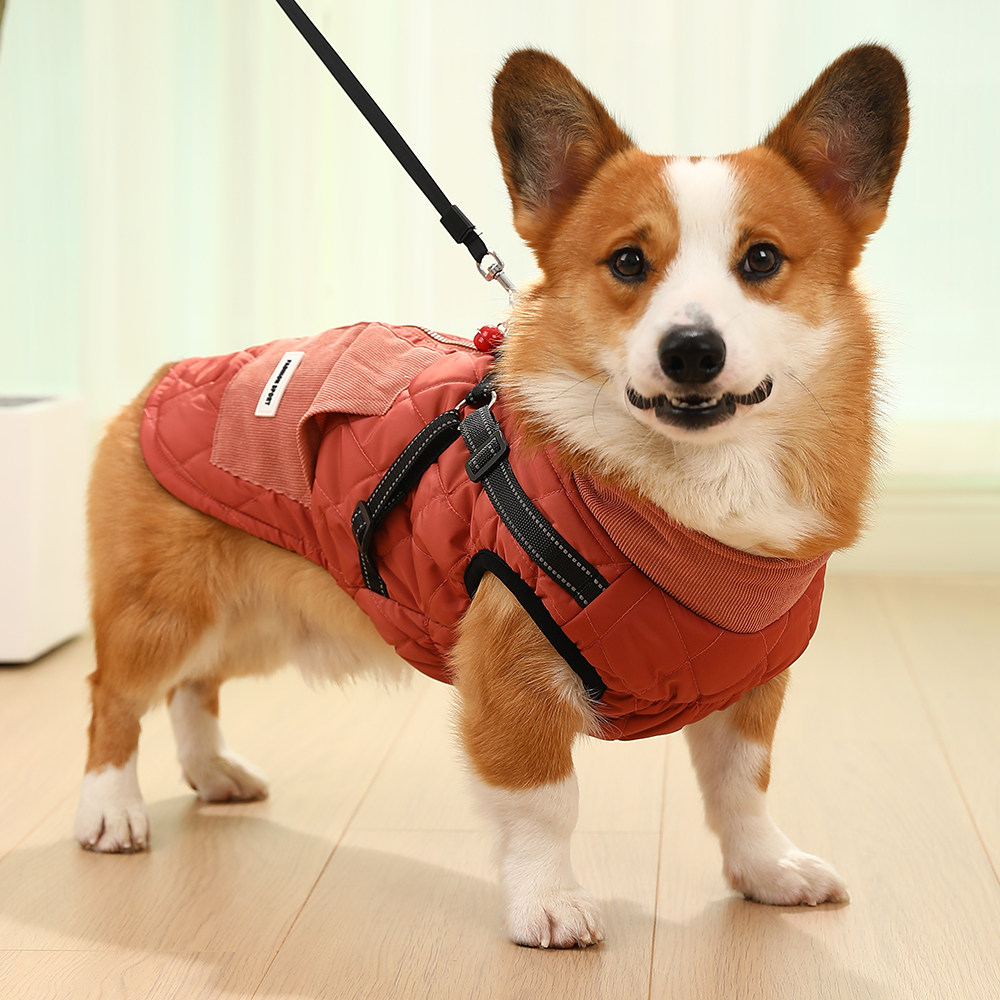 https://fulmo-img-server.com/poppuppy/ba6281fd-512c-41df-b56e-7235bf1cca83.jpg