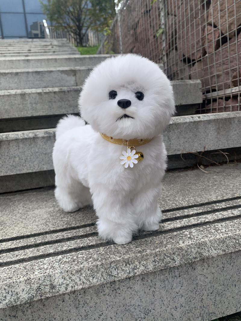 ペット用首輪 花飾り優雅な小型犬用首輪