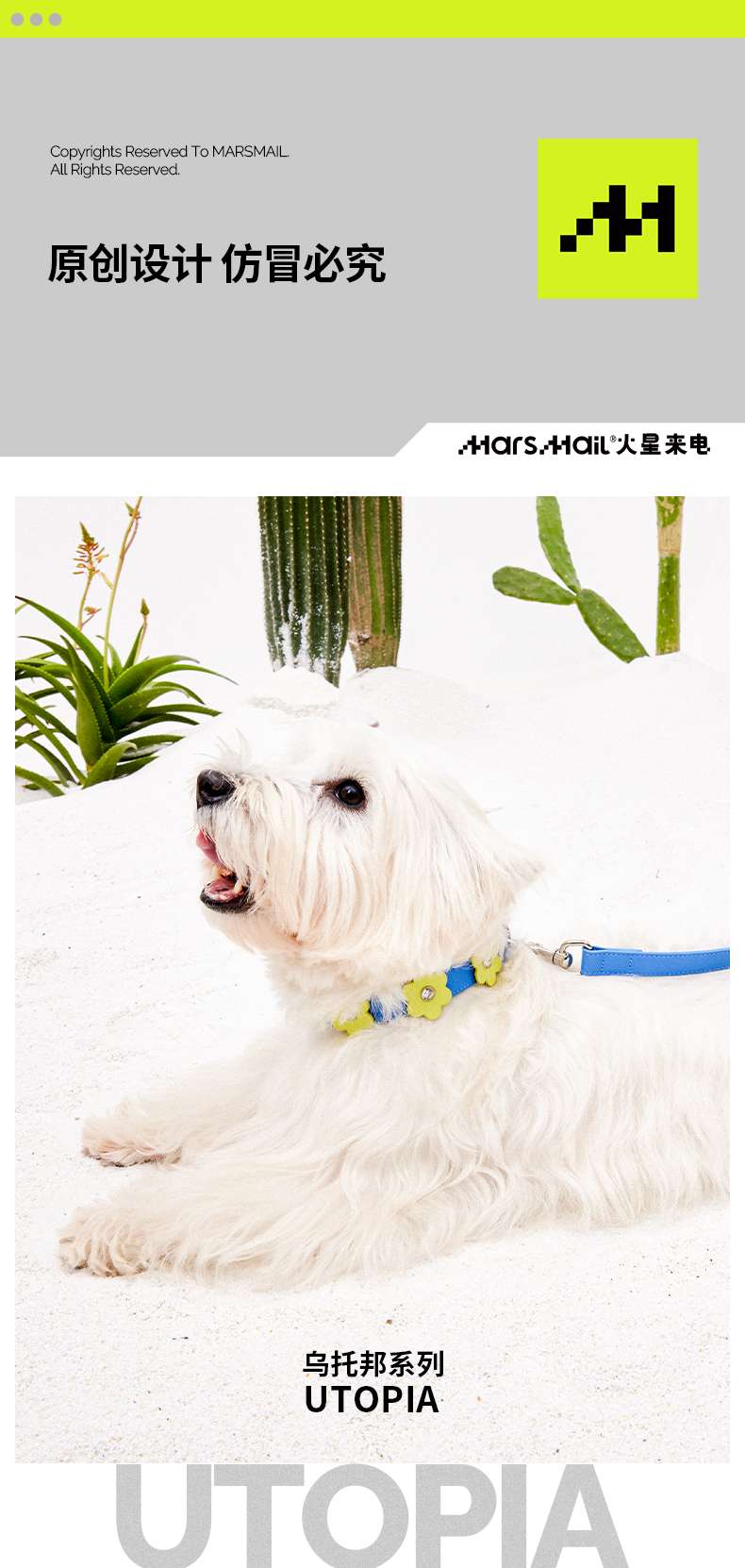 ペット用首輪 花咲く首輪コレクション