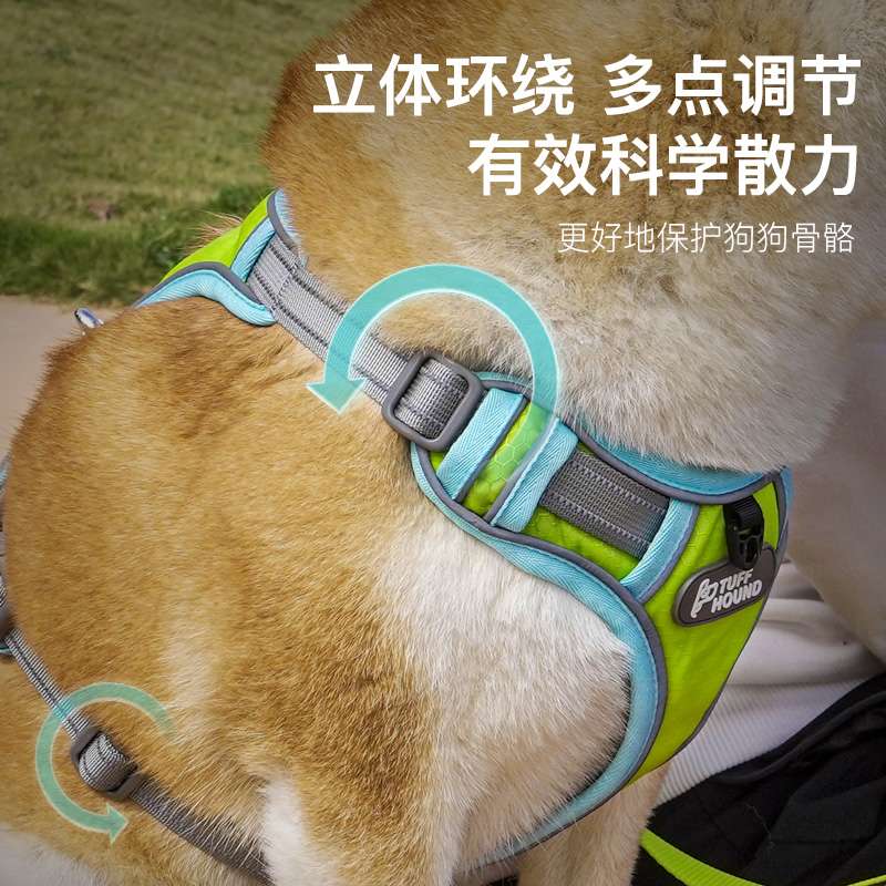 セットアップ