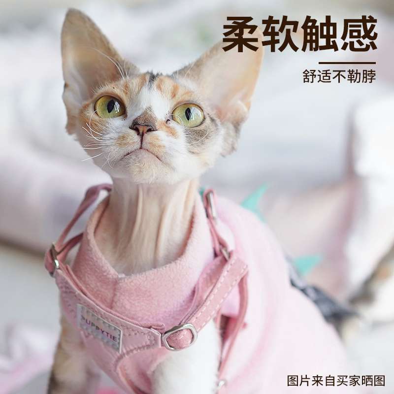 ハーネス