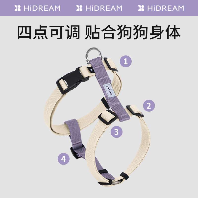 セットアップ