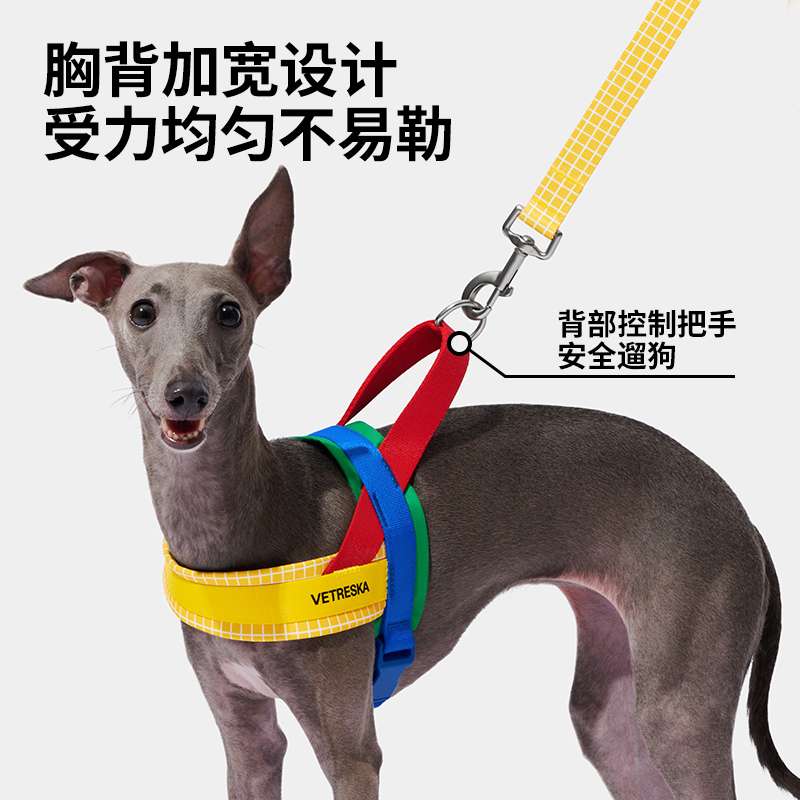 ペット用首輪 高級デザイン ペット用ハーネスセット
