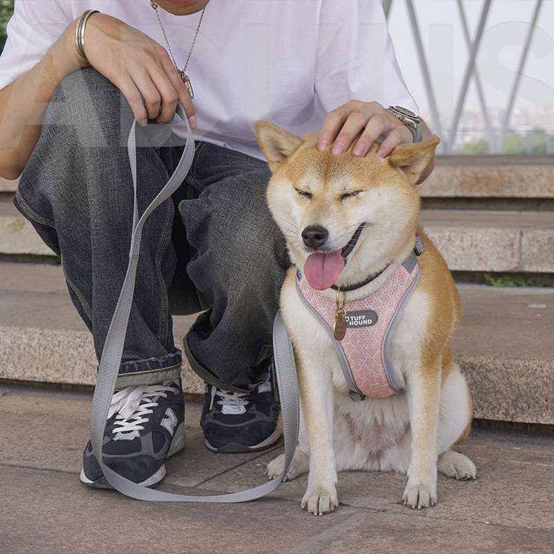 ハーネス