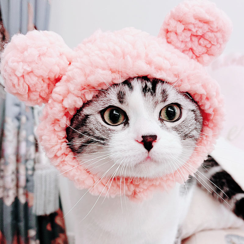 https://fulmo-img-server.com/poppuppy/d397ed0e-f3c2-44dd-a135-03e9bd8454be.jpg
