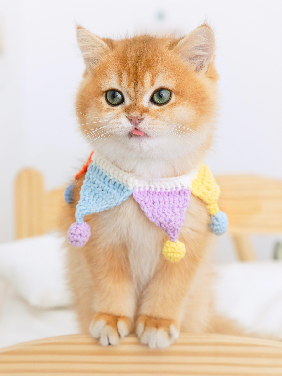 ペット用首輪 にゃんこのおめかし三角旗
