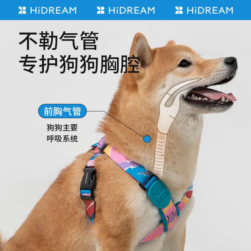 セットアップ