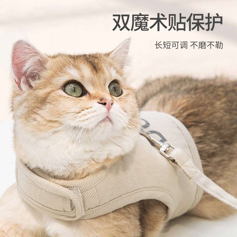 セットアップ