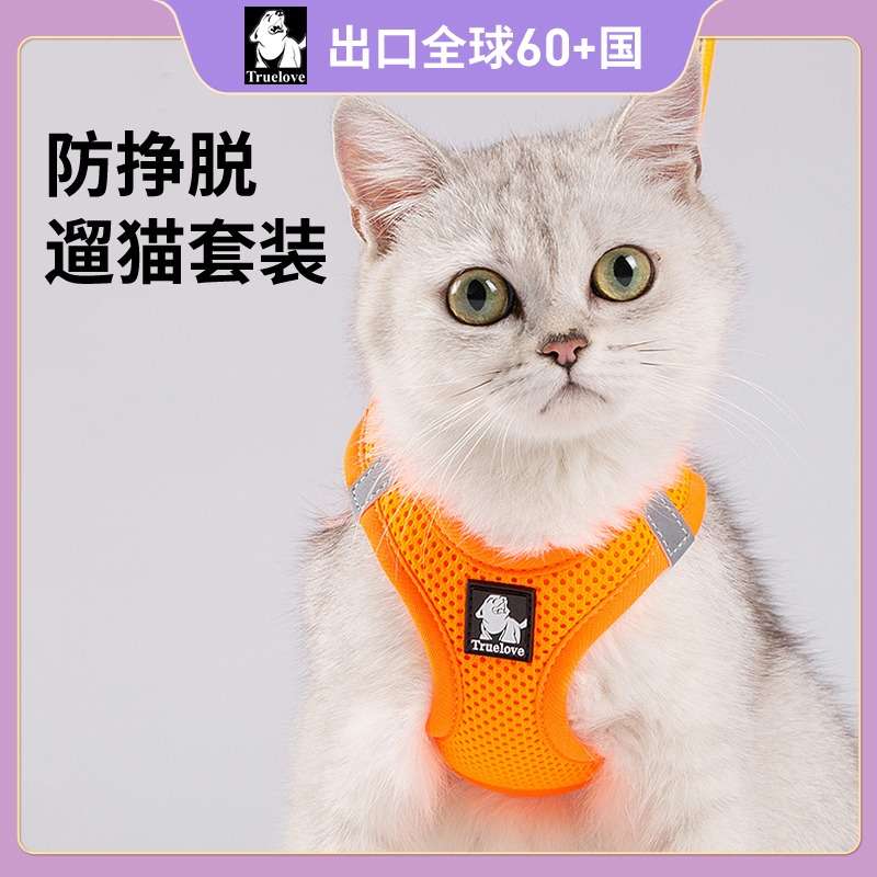 セットアップ