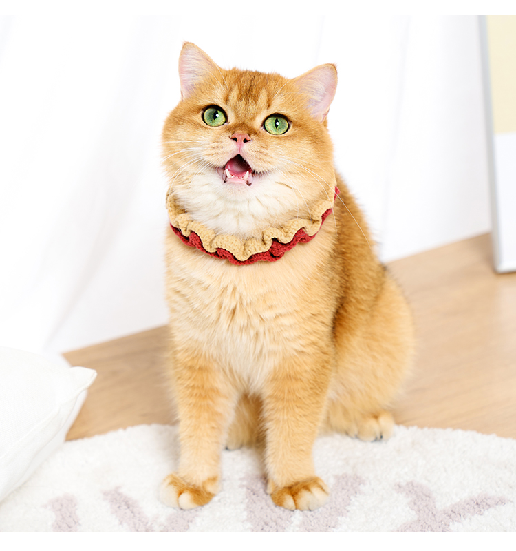 ペット用首輪 ふんわりフリルの猫専用首輪