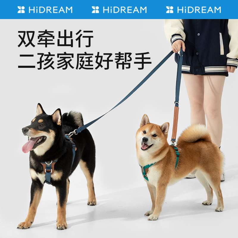 リード