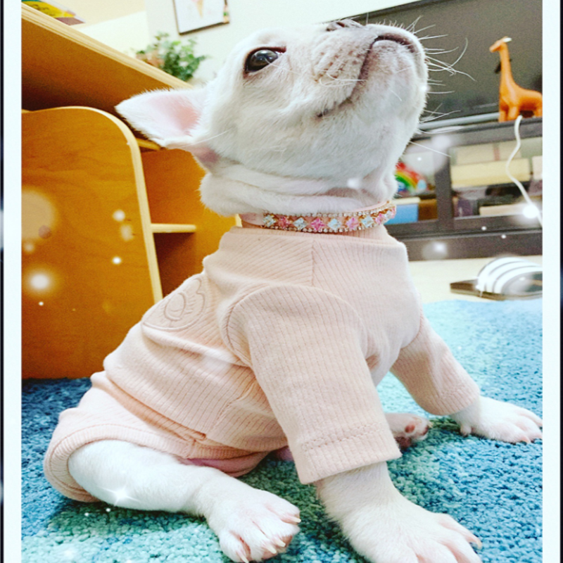https://fulmo-img-server.com/poppuppy/e4aa5ce3-09d9-4dbd-8764-d50982724cf1.jpg