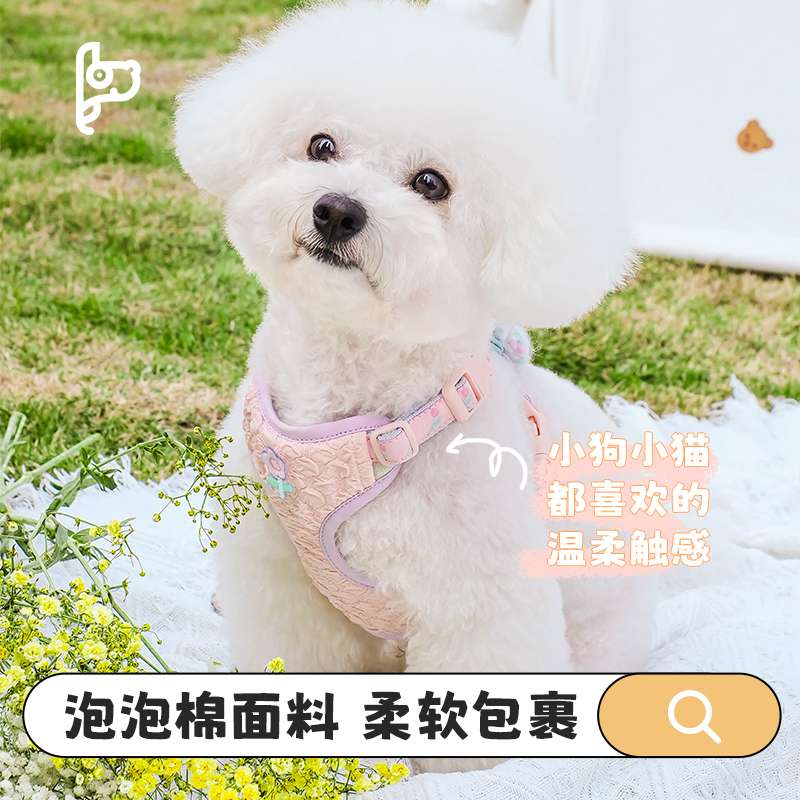 セットアップ