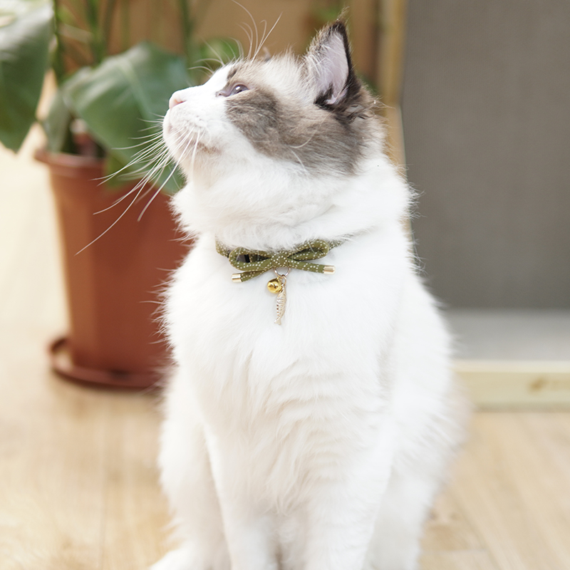 ペット用首輪 優雅なリボン飾り猫首輪