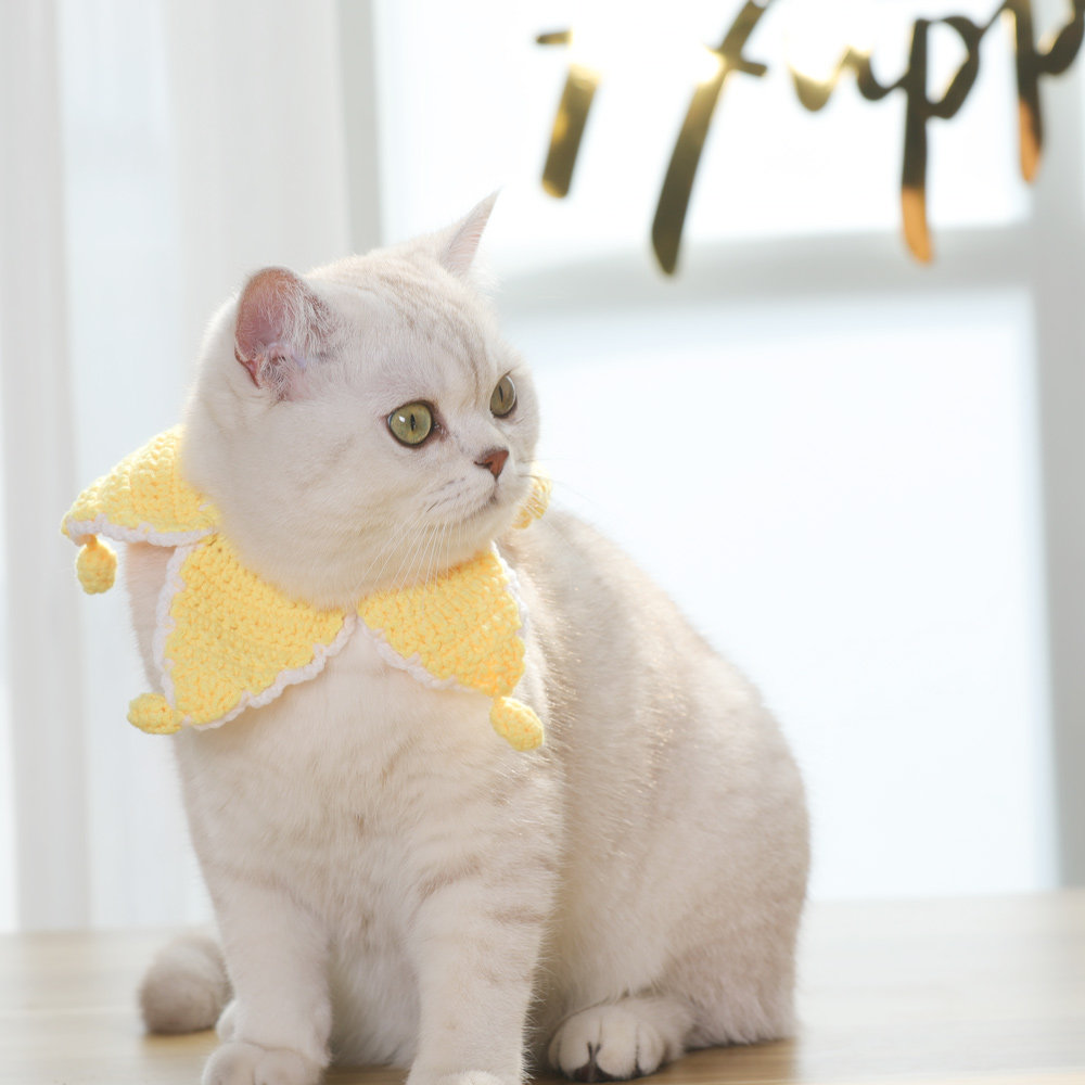 https://fulmo-img-server.com/poppuppy/ebbd3f54-255f-48d7-b838-c7c996c48d4c.jpg