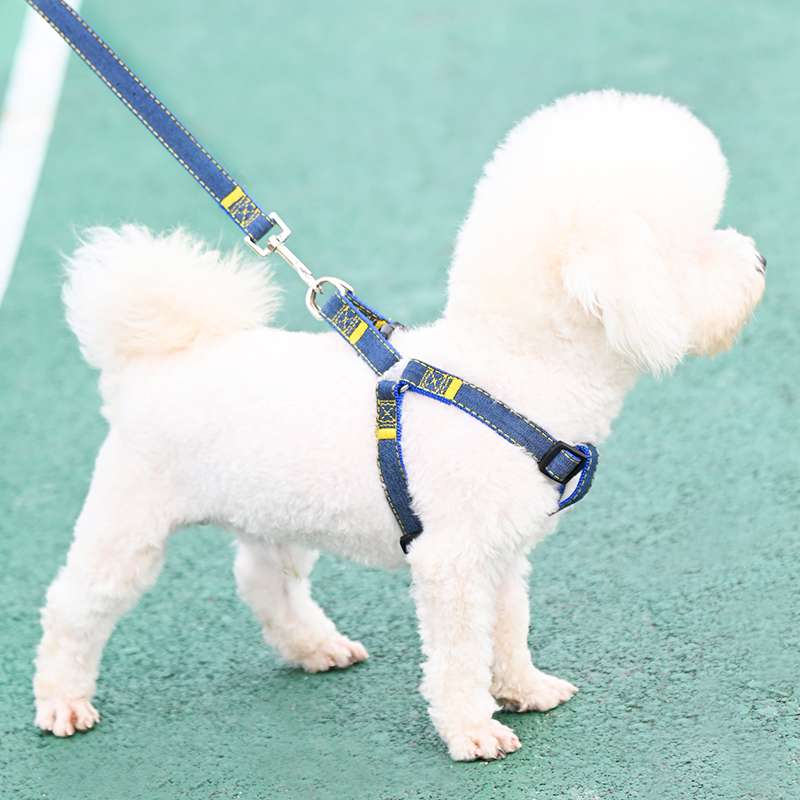 3点セットアップ