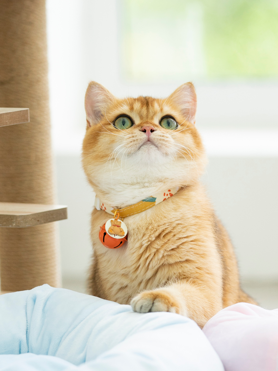 ペット用首輪 優雅な鈴付き首輪 猫の貴族