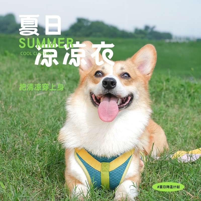 ハーネス