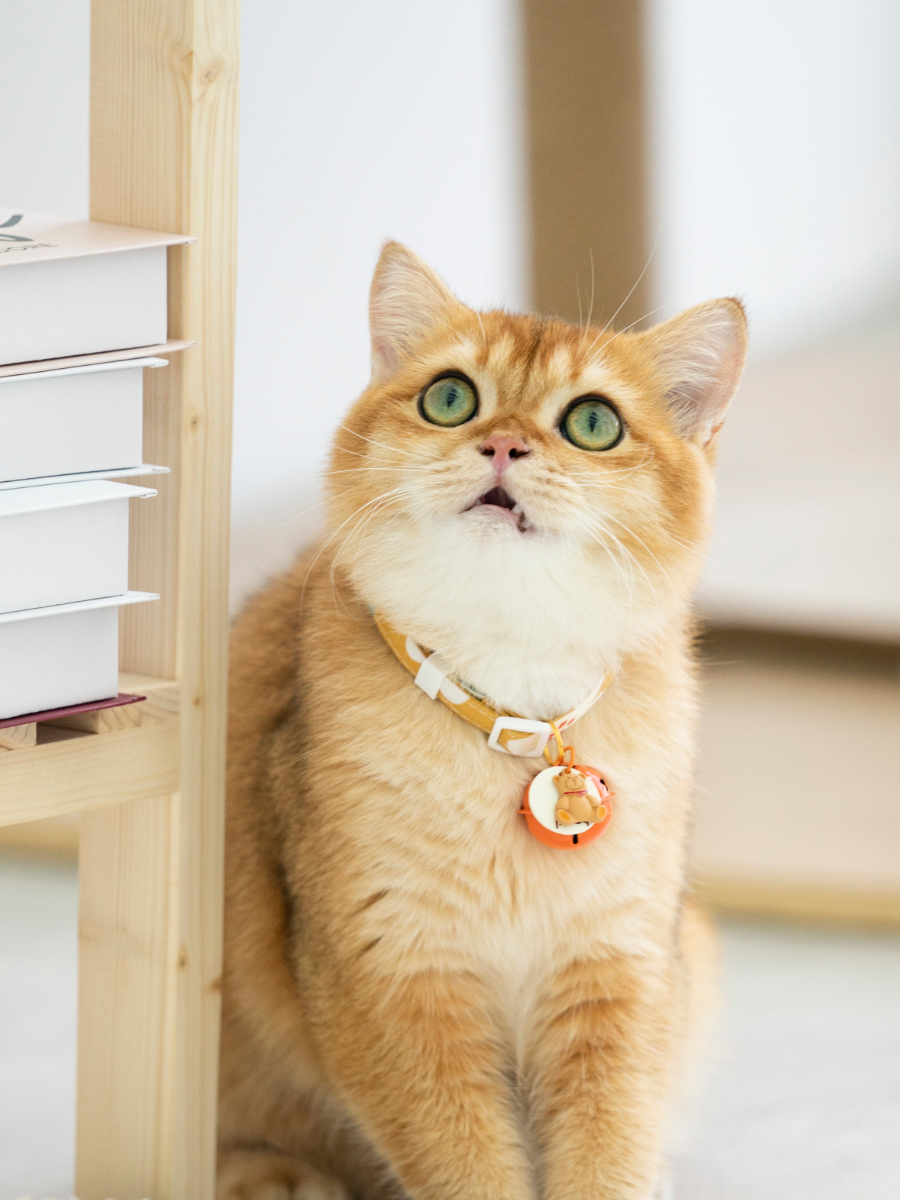 ペット用首輪 優雅な鈴付き首輪 猫の貴族
