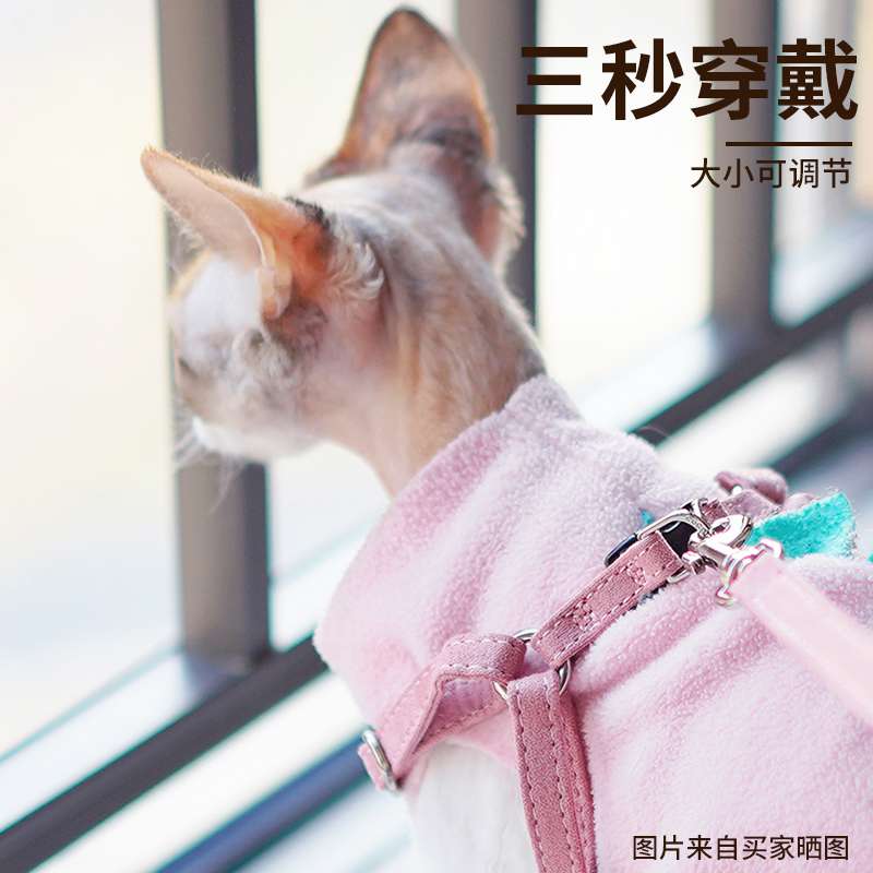 ハーネス