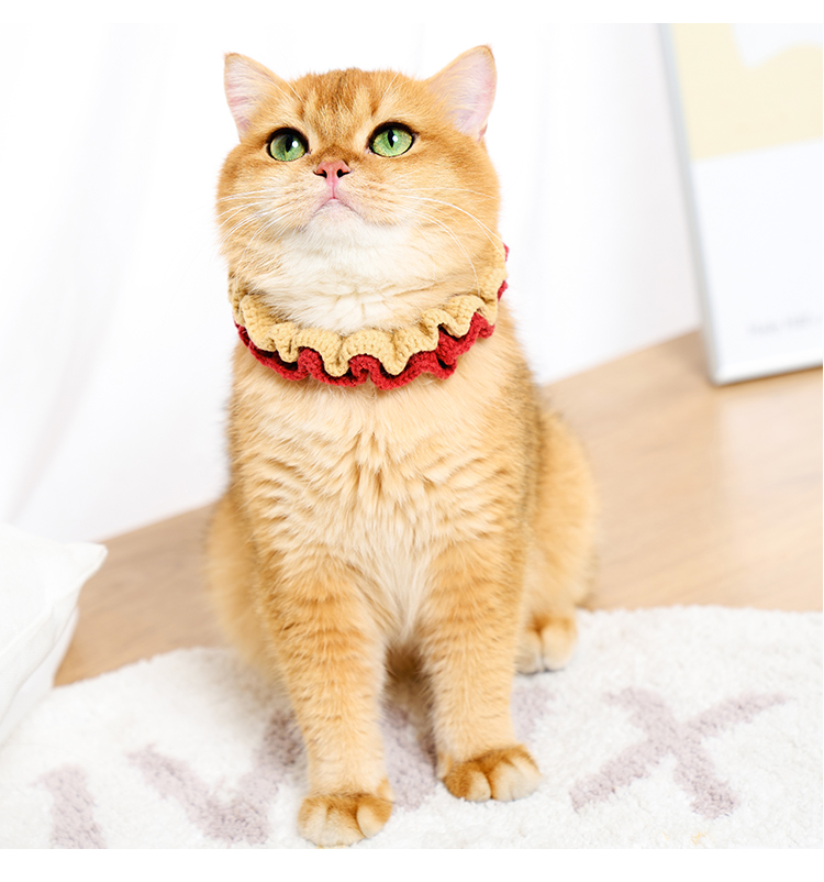 ペット用首輪 ふんわりフリルの猫専用首輪