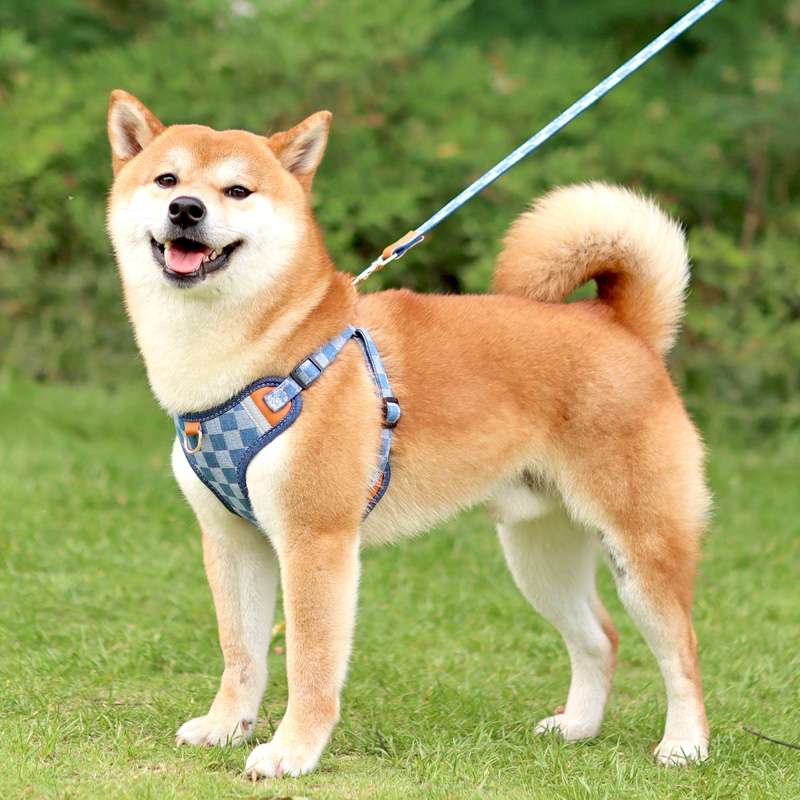 ペット用首輪 愛犬用調節機能付き快適ハーネス