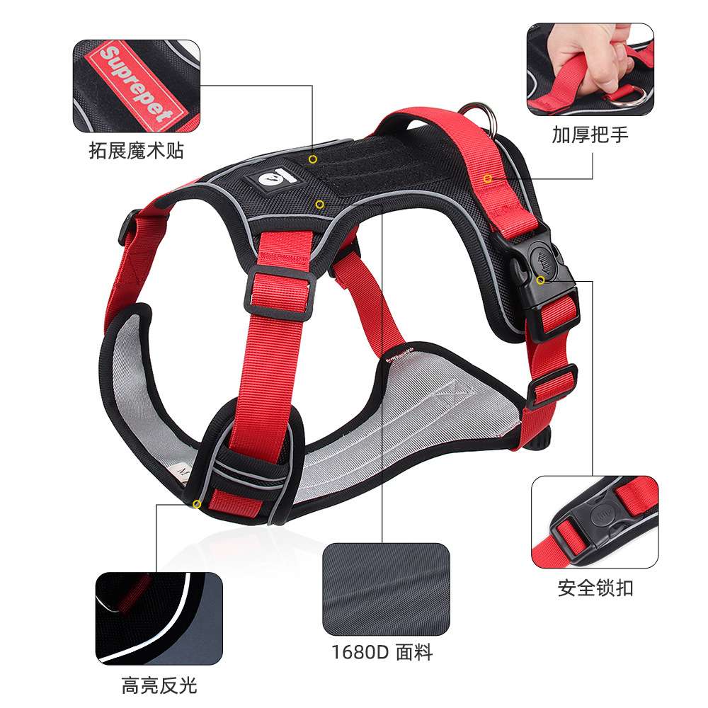 セットアップ