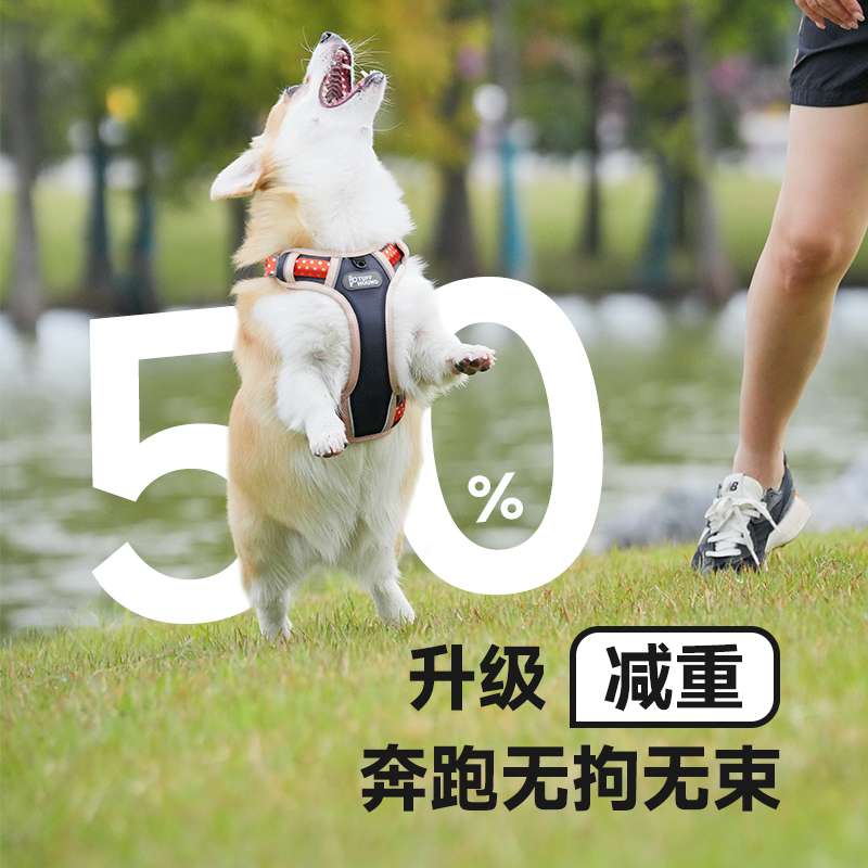 ハーネス単品