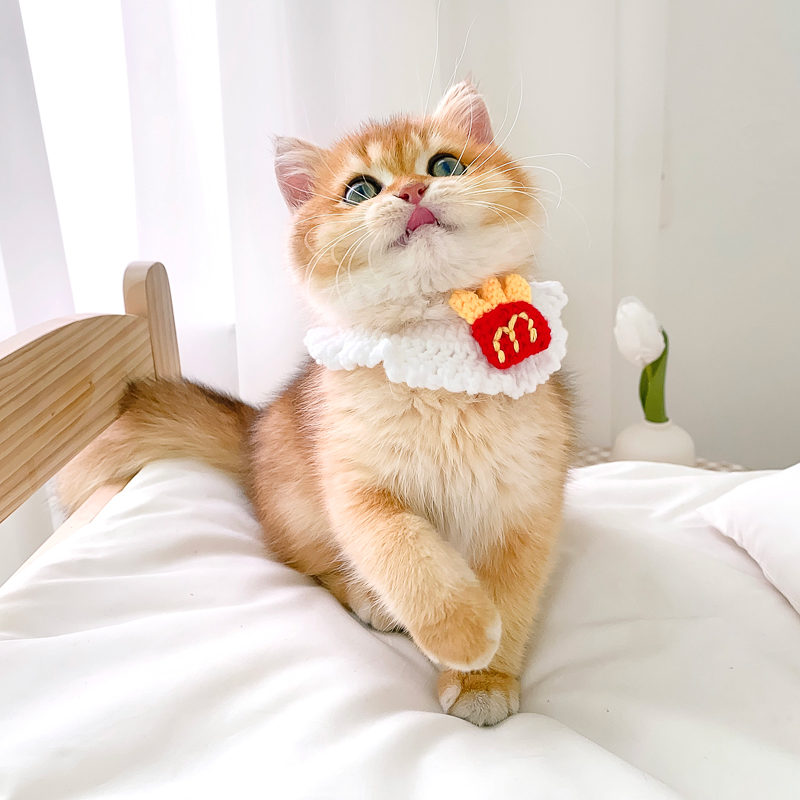 ペット用首輪 にゃんこの幸せ招福首輪