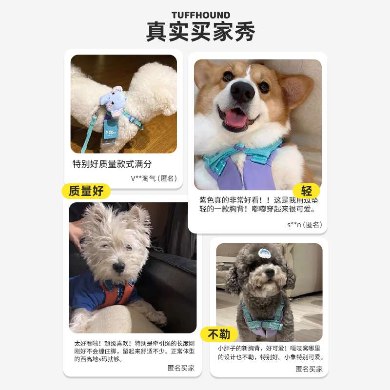 セットアップ