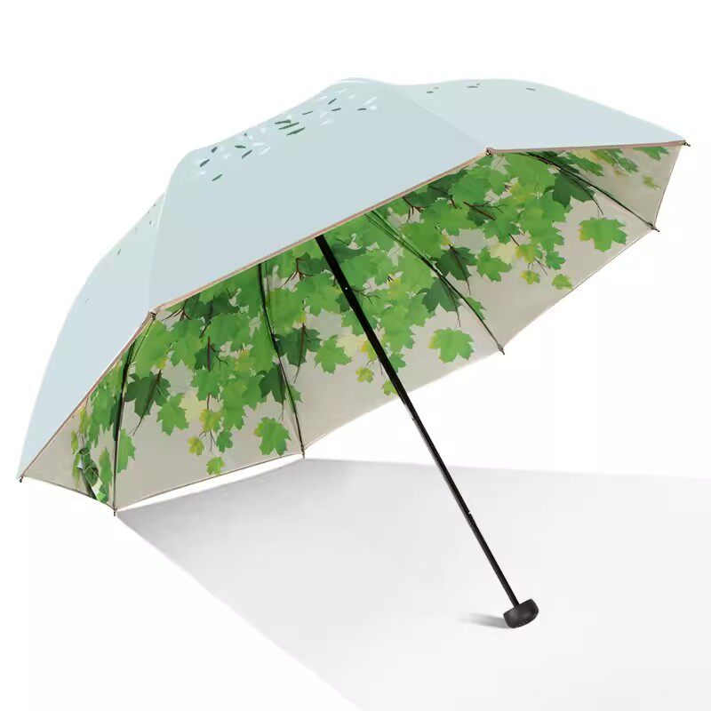 https://fulmo-img-server.com/rainy-pocket/312521bc-d52f-4d29-9253-372b2de6496a.jpg